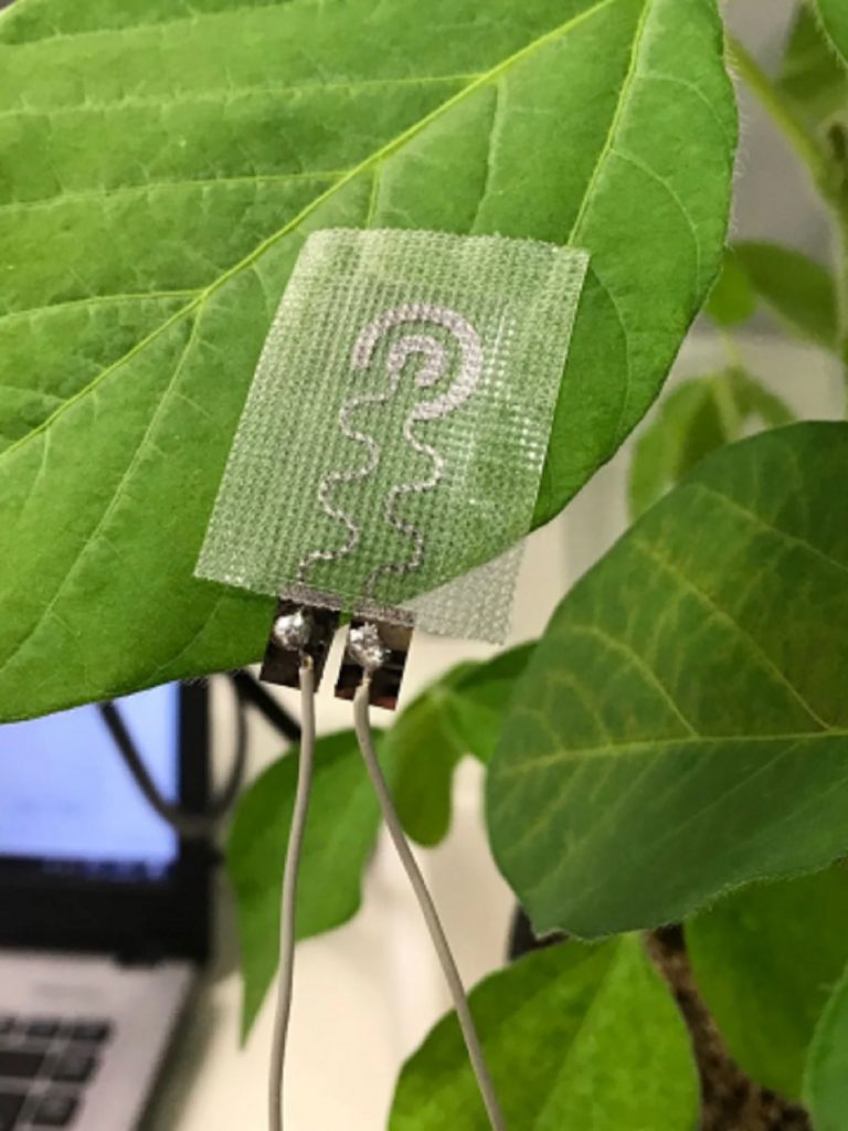 Fonte: Jornal da USP